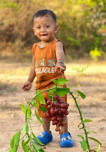 Amazing Smart Tools for Bushcraft and Survival