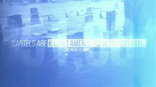 U.S. Department of Homeland Security TV Spot, 'Drug Cartels'