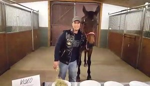 ☆☆☆ DSCHUNGEL-Stall-CAMP 2016 ☆☆☆ oder ☆☆☆ Ich bin Ruby STAR, holt mich hier raus! ☆☆☆ | Ruby Star