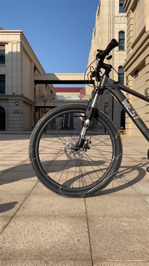 The Ultimate Parking Stand for Car Enthusiasts