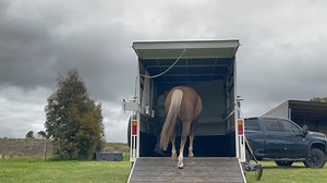 1.2K views · 19 reactions | Practice loading session with Astro, just...