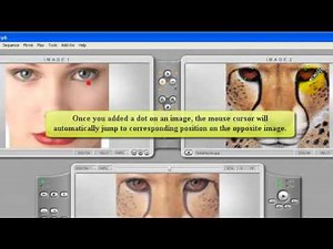 Abrosoft FantaMorph Online Tutorials Photo Morphing Software for Creating Morph Animation