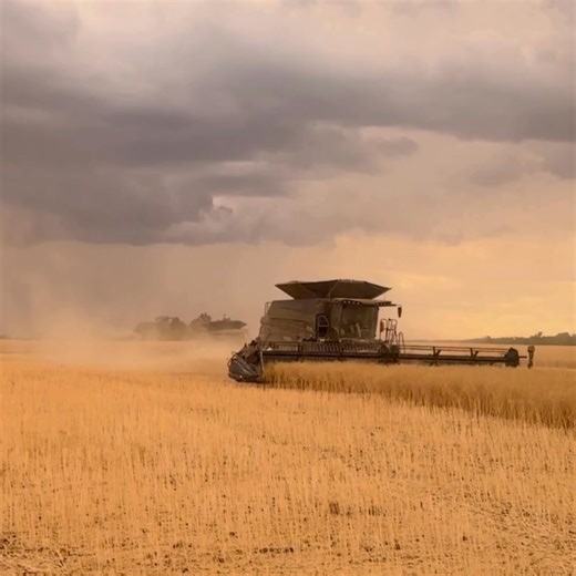 Get organised with your DNA sampling before harvest! Harvest is just...