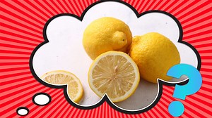Why Do We Call Defective Cars “Lemons”?