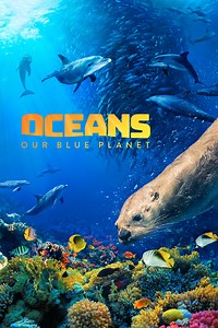 Where to stream Oceans: Our Blue Planet (2018) online? Comparing 50  Streaming Services