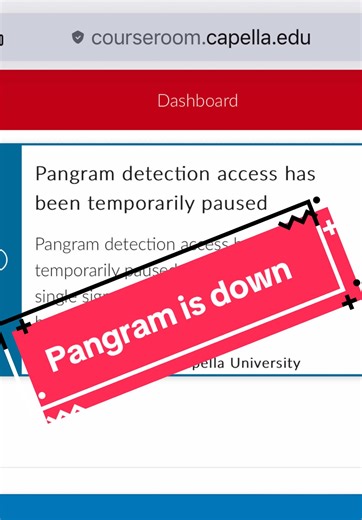 We should just go back to Turnitin cause pangram is not working and is still in its testing phase but anywho Let me help with your pending assignments, essays, discussions, quizzes, exams, tests, online classes, accounting, research projects etc AI and plagerism free Click the link in my bio Whatsapp: (917) 640-4768 Email: Hwgenie@proton.me Instagram: @hw_genie #homeworkgenie #collegehelp #onlinetutoring #capellaflexpath #capellarntobsn
