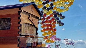 19K reactions · 3.9K shares | 100 jars of honey in 30 minutes... ...