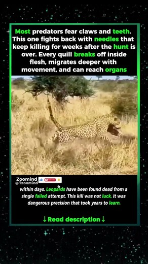 NATURE'S MOST PAINFUL MEAL