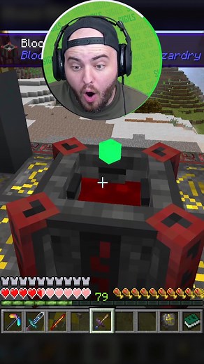 The SACRIFICES I have to make to try to become the Infinity Stone master... #gaming #minecraft #insanecraft