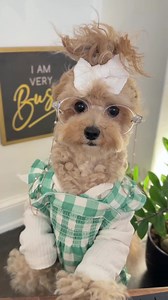 100K views · 4.5K reactions | I was able to check everything off my to-do list today in the Paycom app. I think I should get a raise! #PaycomBeti #Paycom #ad | Noodles | Facebook