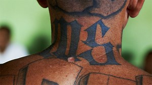 MS-13's active members are laughing at Trump’s crackdown