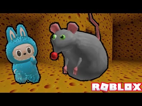 Let''s Escape The CHEESE! In Roblox