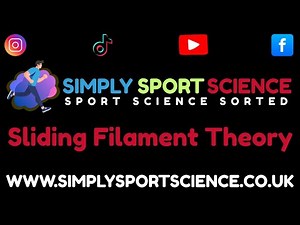 Simply Sport Science: What is the Sliding Filament Theory?