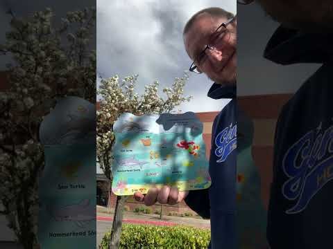 123 Sesame Street Elmo’s First Book Of Animals