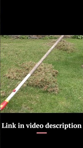 Wolf Scarifier - Awesome for Stripping Thatch and Moss from Lawns