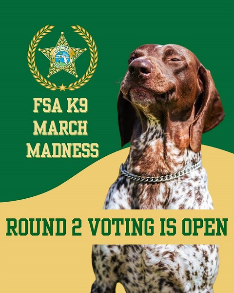 Florida sheriffs seek top K-9 in March Madness contest