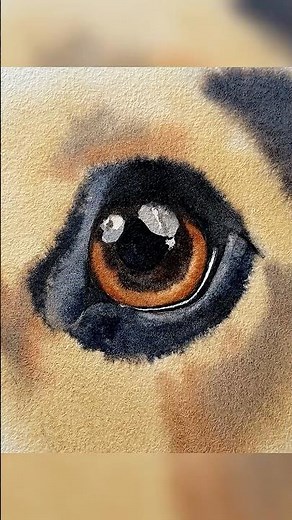 Learn to Paint Realistic Eyes (Dog Eye Watercolour Tutorial)