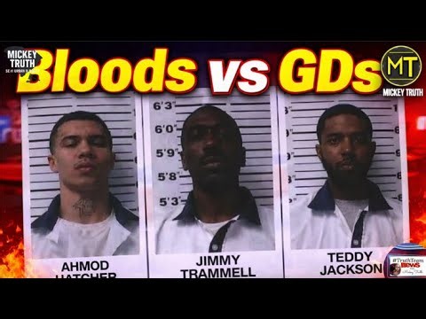 Bloods vs GDs Fight Erupts Inside Georgia Jail Visitation Room?!