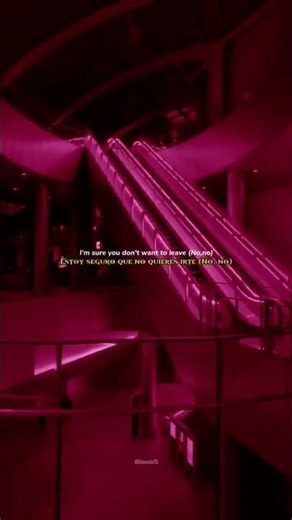 sevdaliza - Ride or die pt.2 Ft.tokischa & villano antillano (lyrics edit) English slow translation