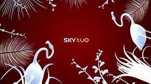 Sky Two and Sky Three - Total rebrand