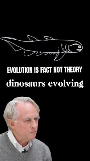 Evolution Is Fact Not Theory- Richard Dawkins