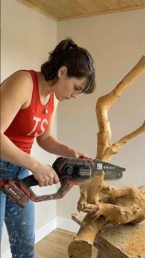 Stunning Driftwood Bookshelf Made From OLD Wood Adds PERFECT Touch Of Nature To Any Room#diy#shorts