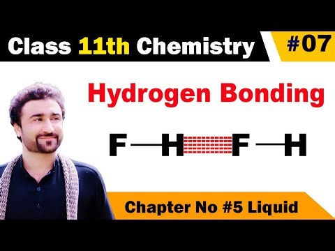 Hydrogen bonding class 11 chemistry || Examples and explanation of hydrogen bonding