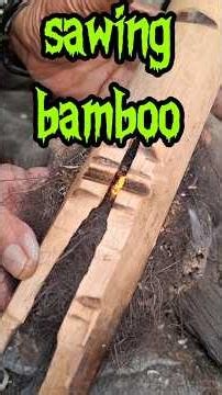 fire saw the traditional way a make fire #primitivefire #firemaking #bushcraft