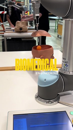 Exploring Biomedical Engineering Careers and Challenges
