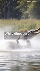 Deinosuchus wasn’t just a crocodile — it was a prehistoric monster. This giant reptile lived around 82,000,000 to 73,000,000 years ago and grew longer than a school bus. With bone-crushing jaws stronger than any modern crocodile, Deinosuchus could ambush dinosaurs that came near rivers and wetlands. Fossils even show bite marks on dinosaur bones, proving this ancient predator hunted some of the most powerful creatures of its time. If Deinosuchus existed today, even a T-Rex would think twice near