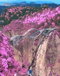 Ruyi bridge, China | Great Stuff