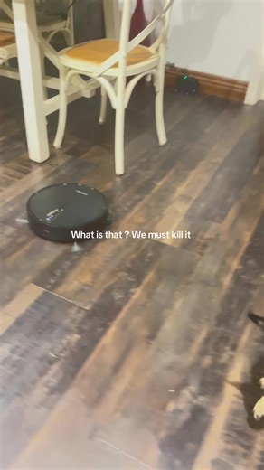 Xena and batman does not like “bubbles”