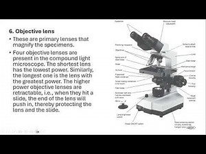 Structure and use of compound microscope