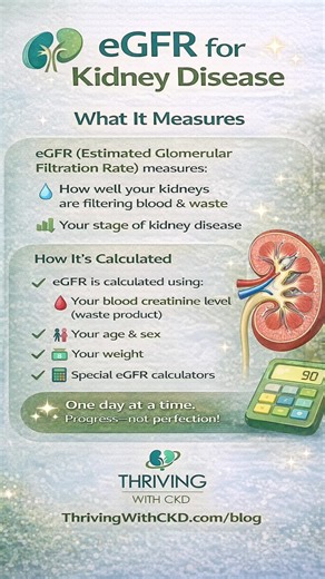 🧪 Confused by Your eGFR and Kidney Disease Labs? You’re Not Alone. 💚 If you’re living with chronic kidney disease, understanding your eGFR (estimated glomerular filtration rate) is critical. eGFR tells you how well your kidneys are filtering waste, helps determine your stage of kidney disease, and guides important treatment and lifestyle decisions. Knowing what your numbers mean—and tracking kidney labs over time—can help you feel more confident, informed, and in control of your kidney health.