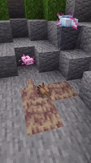 Ajolotes locos xD #minecraft #bedrock #viral