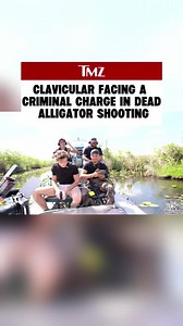 Florida Man Charged for Shooting Alligator on Livestream