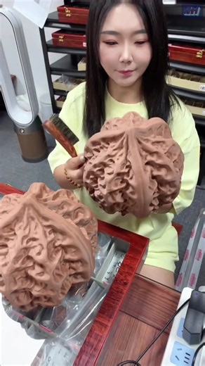 Fakta Menarik Kacang Wenwan yang Berkilau