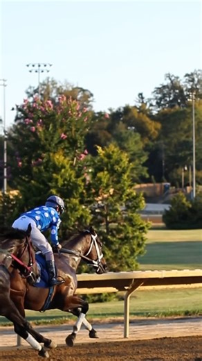 3...2...1 🏇 Counting down 'til racing returns to Charles Town - TOMORROW! Kick off the 2026 season 💥 | Race Charles Town