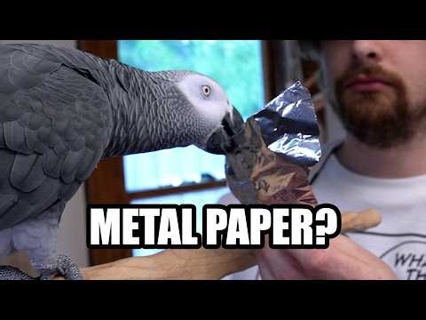 Is Tinfoil Metal or Paper?