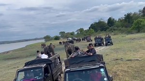 117K views · 3.3K reactions | Sri Lanka   Lakshan Safari | Tourism Kollo | Facebook