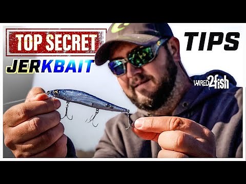 How to Get the Best Jerkbait Action | Hooks, Rod and More