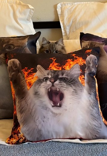 THE NIMBUS CHAOS DROP IS HERE!!!! He says everyone must have a pillow of him on their bed. His rules, not mine. 🔗 in b!0 #fyp #siberiancat #nimbus #cat