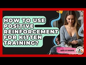 How To Use Positive Reinforcement For Kitten Training? - Happy Cat Handbook