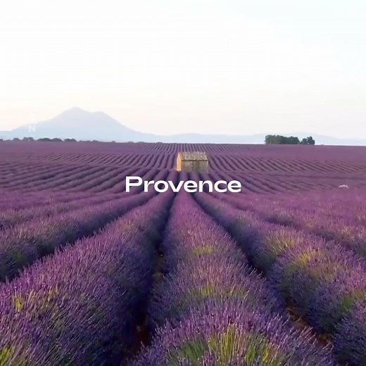 New 2025/2026 Cruise Itineraries - Just Launched! Discover our new 2025/26 cruise programme and explore some of the world's most breathtaking destinations, at the very best times to see them. Our hand-crafted itineraries include the picturesque Amalfi Coast, the idyllic island of Bora Bora, northern Norway in search of the magical Northern Lights, and more. | Fred. Olsen Cruise Lines