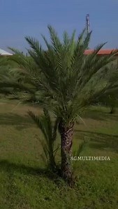 11K views · 619 reactions | Gombe State University in Tudun Wada, Gombe State, Nigeria | Africa Facts Zone | Facebook