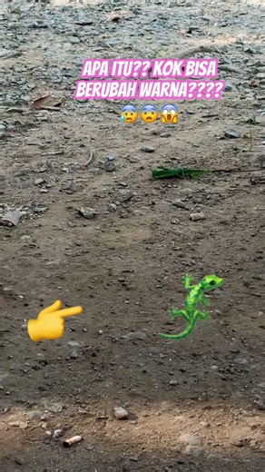 What is it❓😱 #trending#trendingshorts#shorts#viral#viralshorts #subscribe #horror #truestory#fyp