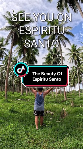 The breathtaking beauty of Espiritu Santo’s coconut plantations. where endless rows of tropical palms create one of Vanuatu’s most captivating landscapes. 🌴❤️🇻🇺 Car Hire Credit — santofriendlytours.com #vanuatu #tourism #repost #adventure #fyp