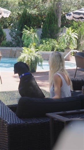 At The Willcox, every guest is treated to something special—including the four-legged ones. From relaxed afternoons to cozy evenings, even the pups enjoy every moment of the stay. | THE WILLCOX