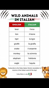 7.9K views · 148 reactions | Wild animals in Italian  #dailyitalianwords #italianoperstranieri #italianoonline #italianteacher #italianlanguagecourses #italianlanguage #learnitalianlanguage #learnitalianonline #learnitalian | Daily Italian Words | Facebook