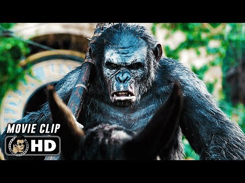 Apes Do Not Want War Scene | DAWN OF THE PLANET OF THE APES (2014) Sci-Fi, Movie CLIP HD